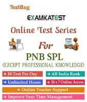 pnb specialist officer online test papers | PNB